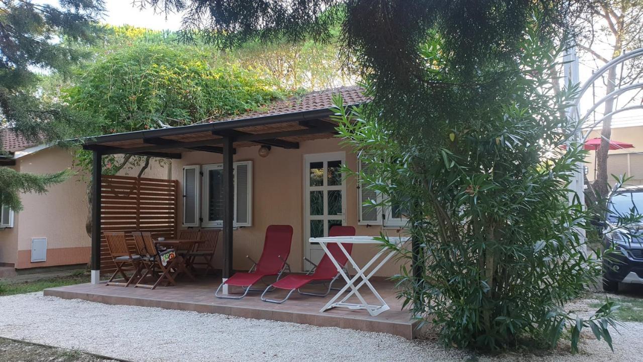 Bungalow Comfort 100 M From The Beach Premantura Εξωτερικό φωτογραφία